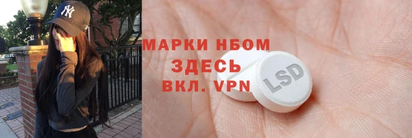 СК Алексин