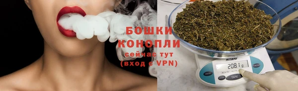 гидра Рославль