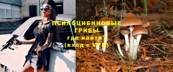 СК Алексин