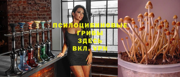 гидропоника Алексеевка