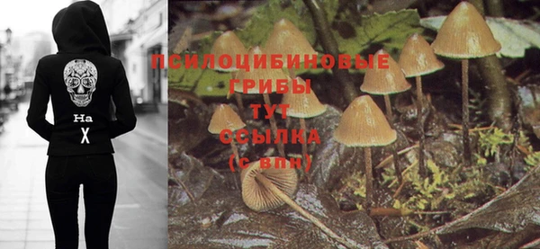 прущие крисы Алзамай
