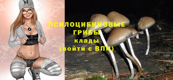 прущие крисы Алзамай