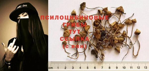 ALPHA PVP Абаза