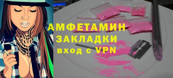 гидра Рославль