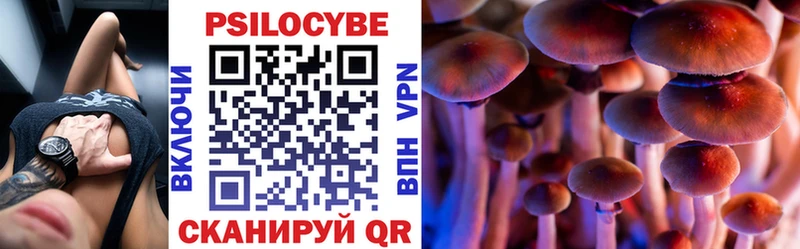 Псилоцибиновые грибы Psilocybine cubensis  Вилючинск 